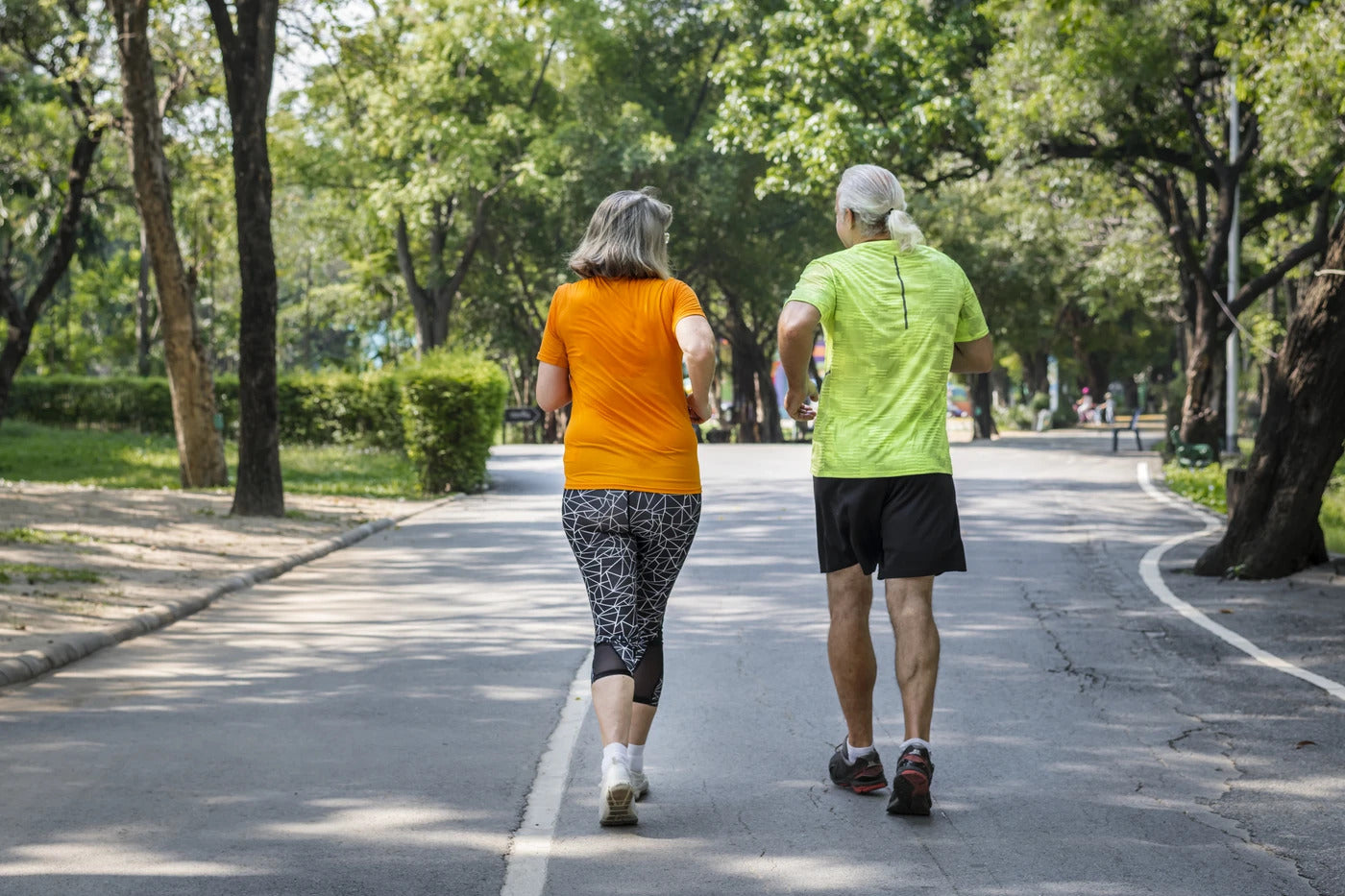 RECOVAPRO IN FOCUS: PHYSICAL ACTIVITY FOR OLDER ADULTS